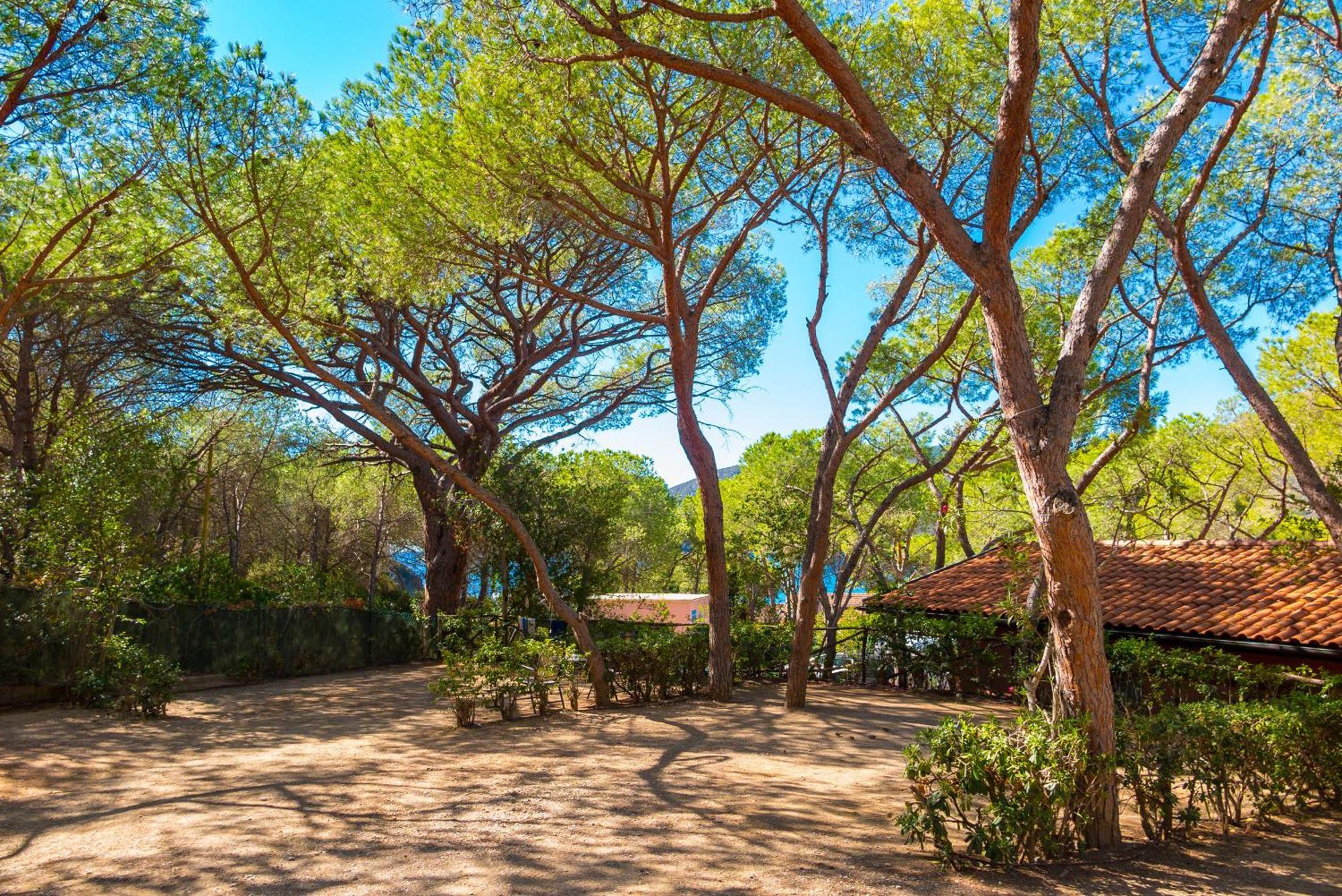 Camping Lacona Pineta Capoliveri  Exterior photo
