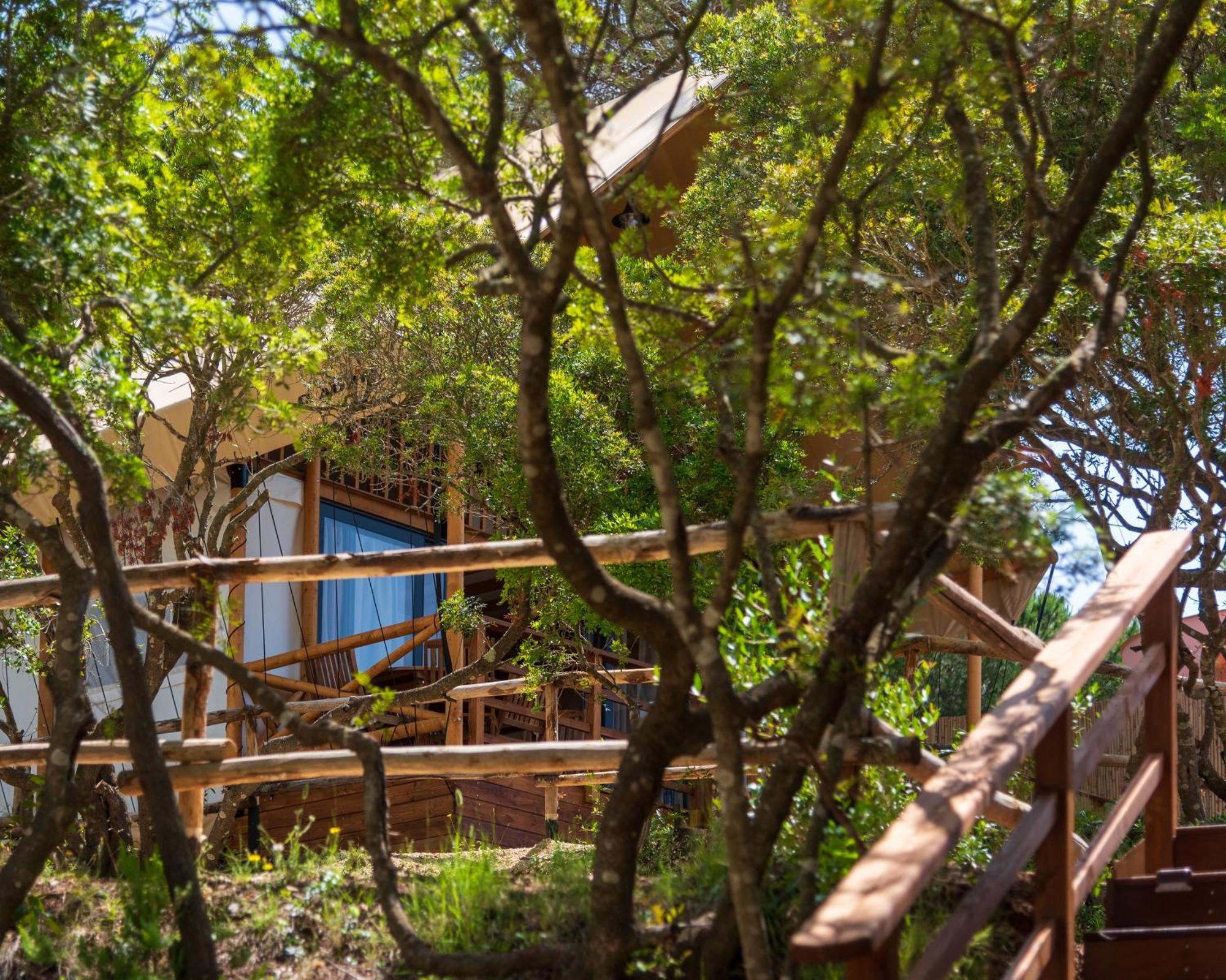 Camping Lacona Pineta Capoliveri  Exterior photo