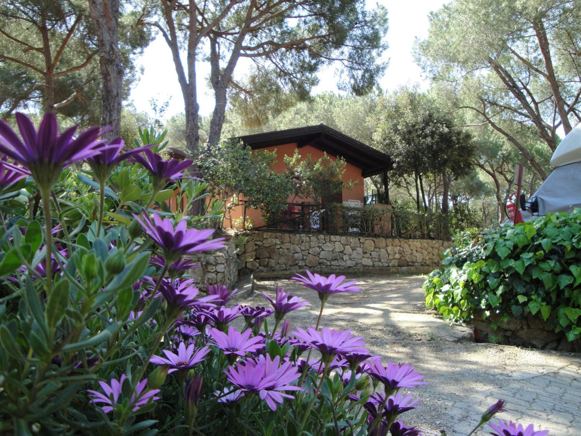 Camping Lacona Pineta Capoliveri  Exterior photo